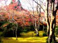 大河内山荘の紅葉(4)