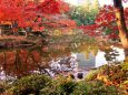 日比谷公園の紅葉