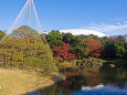 晩秋の小石川後楽園