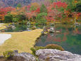 天龍寺 曹源池の紅葉