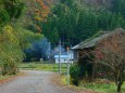 里山の深まりゆく秋