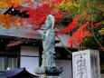 京都の紅葉・妙円寺・#1