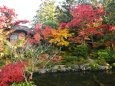 依水園の紅葉(1)