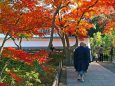 鎌倉円覚寺の紅葉