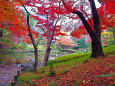 小石川後楽園 水辺の紅葉