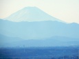 都庁から富士山を望む