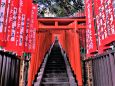 山王稲荷神社の鳥居