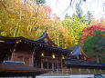 貴船神社の秋