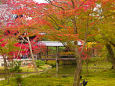 秋の高台寺