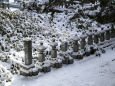 雪の高野山・綿帽子