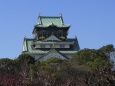 金の虎の大阪城天守閣