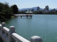 大濠公園から見る博多の街並