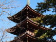 上野恩賜公園の五重塔