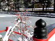 雪の高野山・結氷蓮池