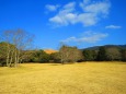 冬の奈良・飛火野と春日山