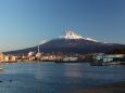 早朝の田子の浦港