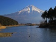 田貫湖の富士