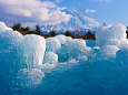 富士山と樹氷