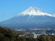 新富士駅から富士山を臨む