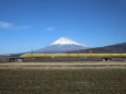 富士山と新幹線