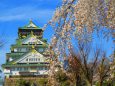 大阪城と枝垂れ桜