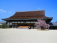 春の京都御所紫宸殿