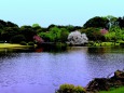 御苑上の池の風景