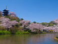 三渓園 春景色