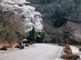 美濃陶芸村