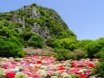 御船山楽園のツツジ群