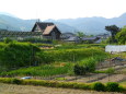 田舎の春景色