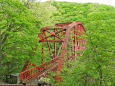 帝釈峡-新緑の神龍橋