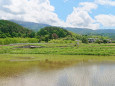 松本中山の緑