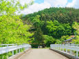 松本中山の橋と春