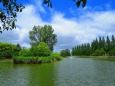 大阪城北公園大池の初夏