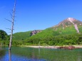 初夏の上高地