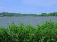 梅雨の晴れ間風吹く北潟湖畔