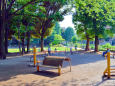 午後の公園