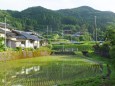 梅雨の晴れ間に