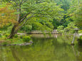 初夏の有栖川宮記念公園