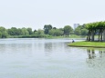 水元公園2