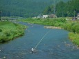 足羽川の鮎釣り