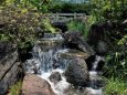 檜町公園の小滝