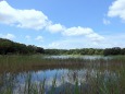 爽やかな水辺の風景