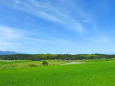 夏の田園風景2