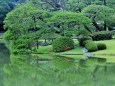 六義園の風景