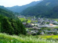 蕎麦の花が咲いた山村集落