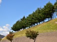 住宅地の真ん中にこの景色