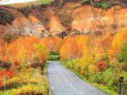 八幡平の紅葉