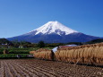 田園と富士山